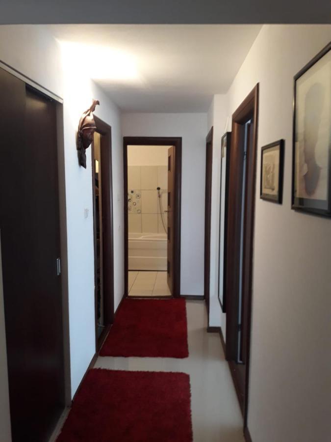 Apartament Alexe Эфорие Норд Экстерьер фото